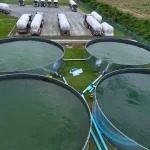 common causes of agricultural tank liner damage