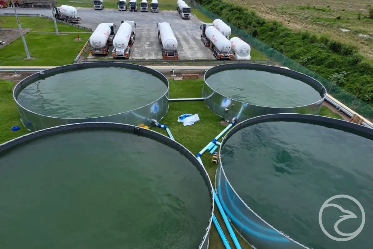 common causes of agricultural tank liner damage